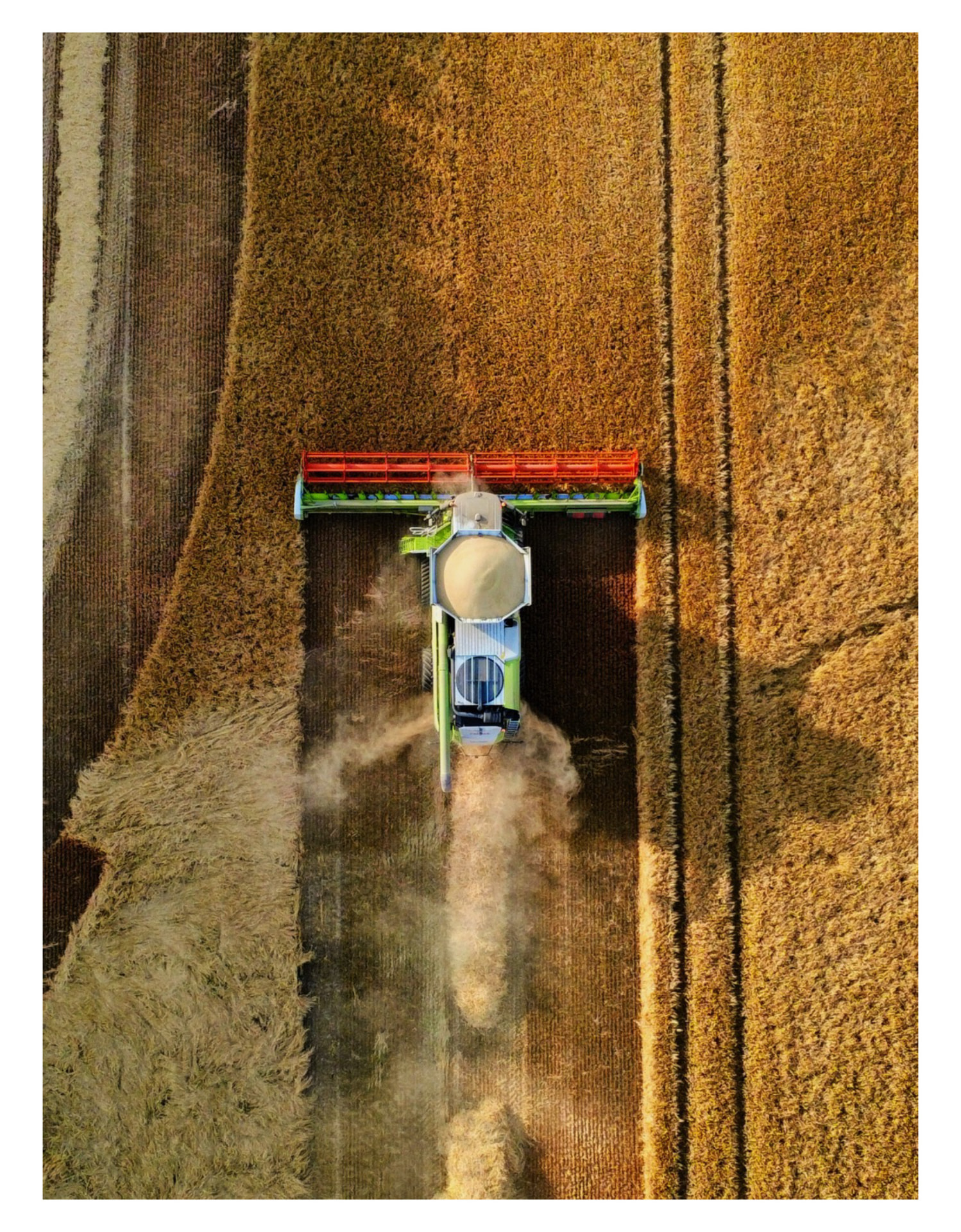 Harvest from Above
